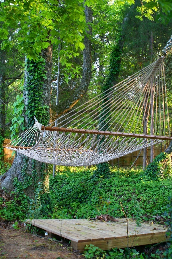 Tranquil hammock, A tranquil hammock under a green canopy