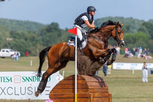 Pferdesport, Reiten FEI World Championships Aachen vom 11. bis 23. August