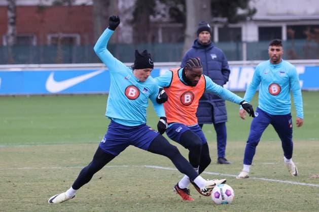 Fußball, 2. BL, Hertha BSC, Training