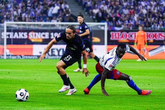 Fußball, 2. BL, Hamburger SV - Hertha BSC