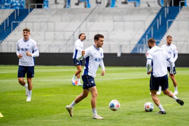 Fußball, 2. BL, SV Darmstadt 98, Öffentliches Training