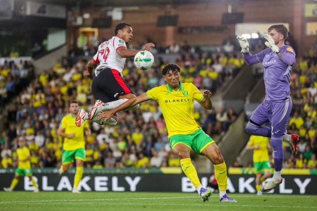 Fußball, England, League Cup, Norwich City - FC Southampton