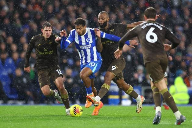 Fußball, England, Brighton and Hove Albion - FC Brentford