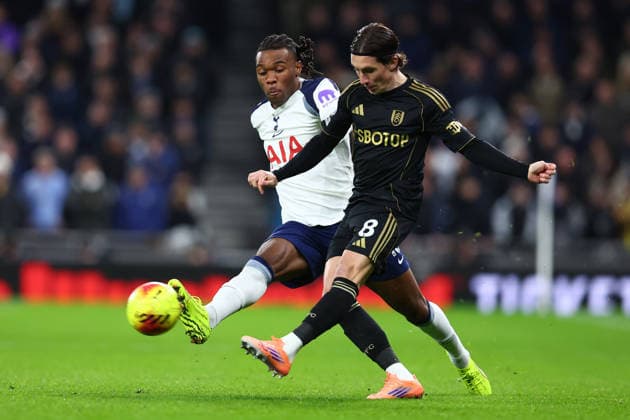Fußball, England, Tottenham Hotspur - FC Fulham