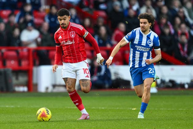 Fußball, England, Nottingham Forest - Brighton and Hove Albion