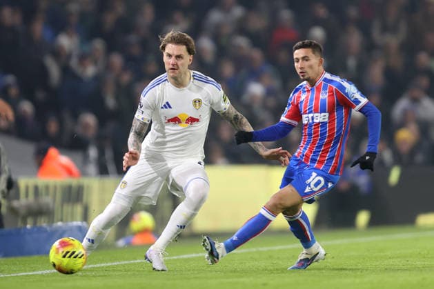 Fußball, England, Leeds United - Crystal Palace