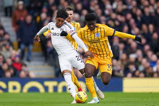 Fußball, England, FC Fulham - Brighton and Hove Albion