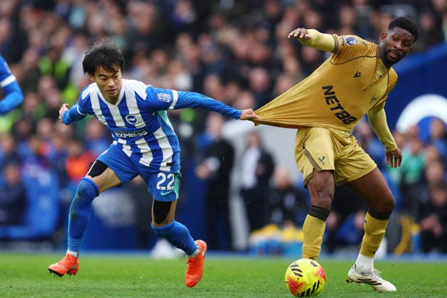 Fußball, England, Brighton and Hove Albion - Crystal Palace