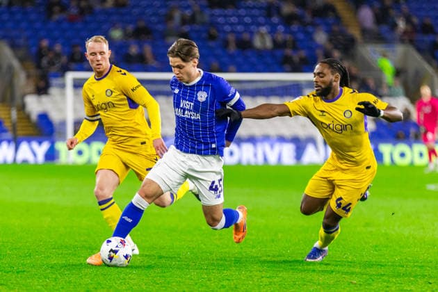 Fußball, England, Cardiff City - Wycombe Wanderers
