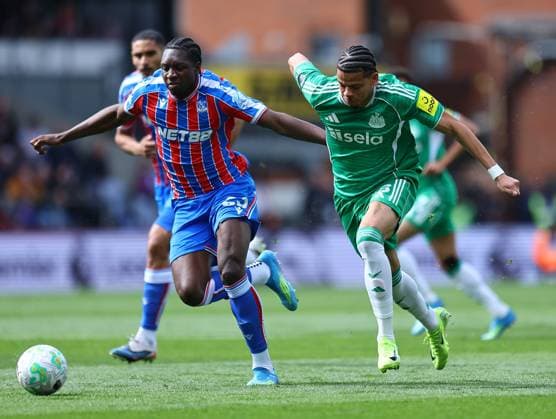 Fußball, England, Crystal Palace - Newcastle United