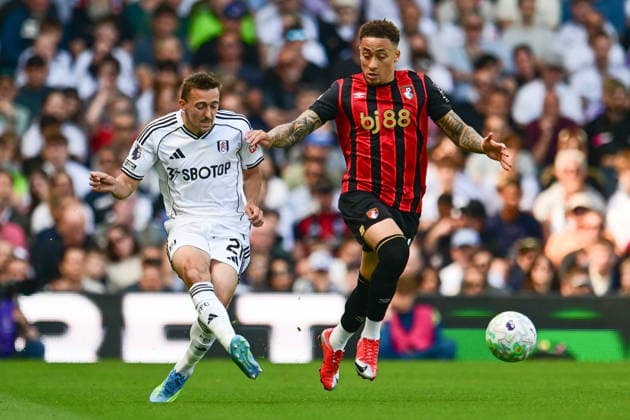 Fußball, England, FC Fulham - AFC Bournemouth