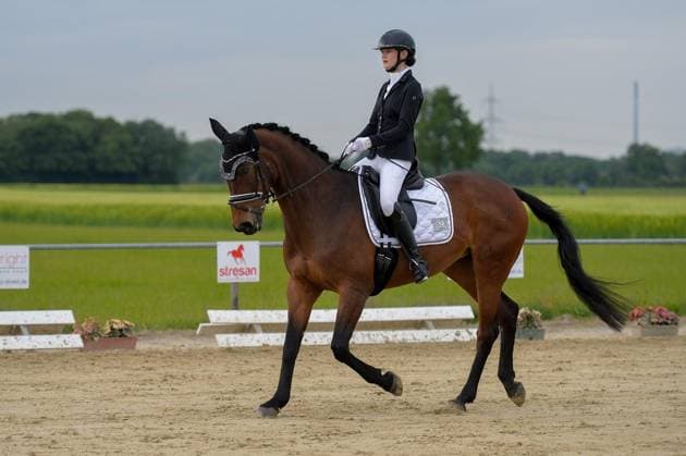 Pferdesport, Jubiläumsturnier des RuFV Bruckhausen in Hünxe