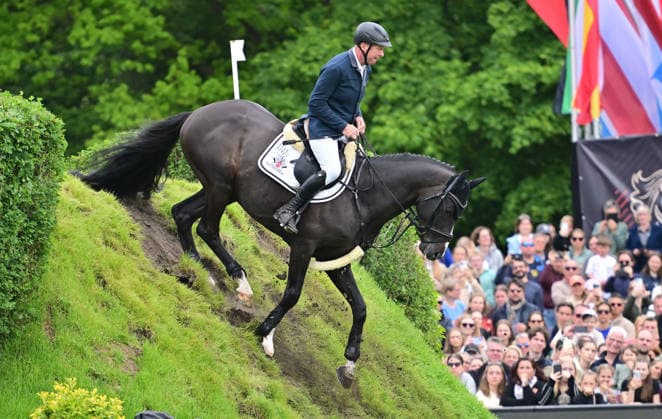 Pferdesport, Deutsches Spring- und Dressur Derby Hamburg