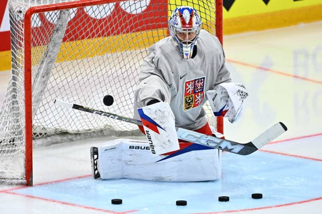 Eishockey, WM, Nationalteam Tschechien, Training