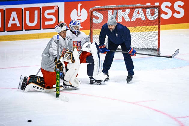Eishockey, WM, Nationalteam Tschechien Training