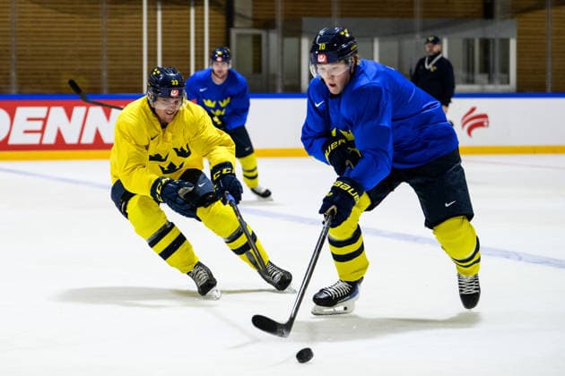 Eishockey, WM, Nationalteam Schweden, Training