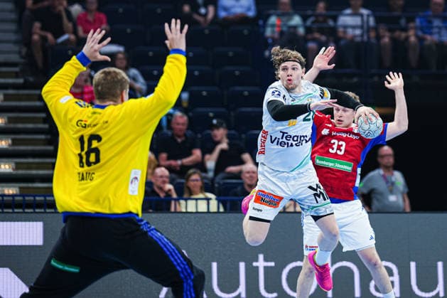 Handball, HBL, Handball Verein Hamburg - Frisch Auf Göppingen