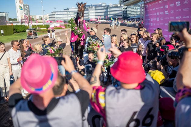 Pferdesport, Trab, Renntag in Berlin-Mariendorf