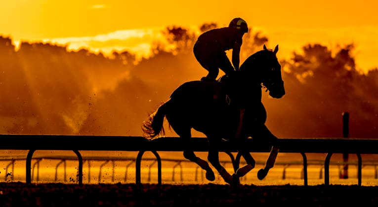 Pferdesport, Galopp, Belmont Stakes in Saratoga Springs