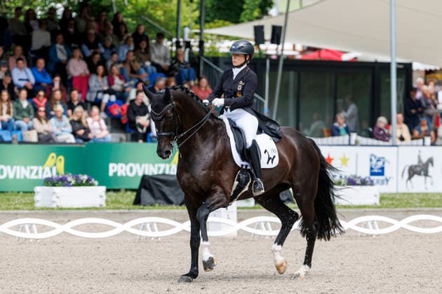 Pferdesport, Dressur, Balve Optimum
