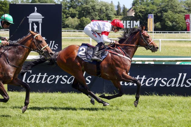 Pferdesport, Galopp, Renntag auf der Galopprennbahn Baden-Baden, Iffezheim