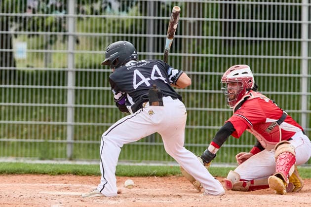 Baseball, DBL, München-Haar Disciples - Stuttgart Reds