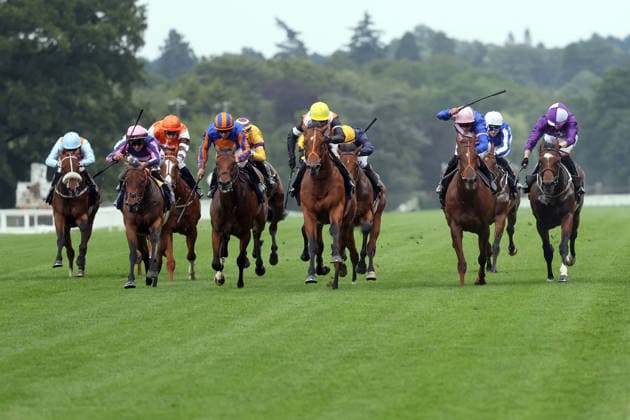 Pferdesport, Galopp, Royal Ascot
