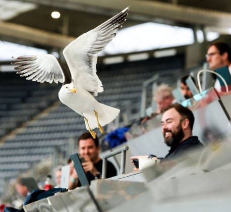 Sport Bilder des Tages