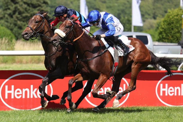 Pferdesport, Galopp, Renntag in Düsseldorf-Grafenberg