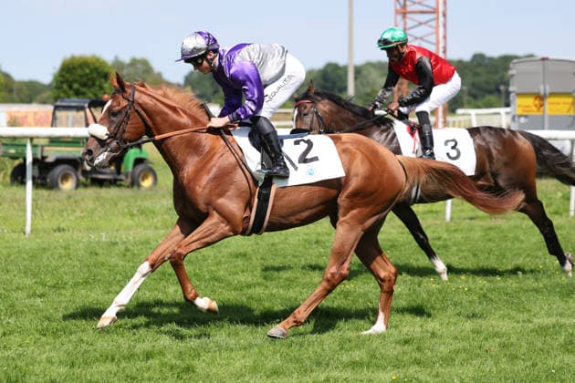 Pferdesport, Galopp, Renntag in Dortmund-Wambel
