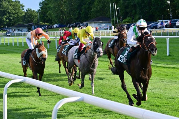Pferdesport, Galopp, Renntag in Hamburg-Horn