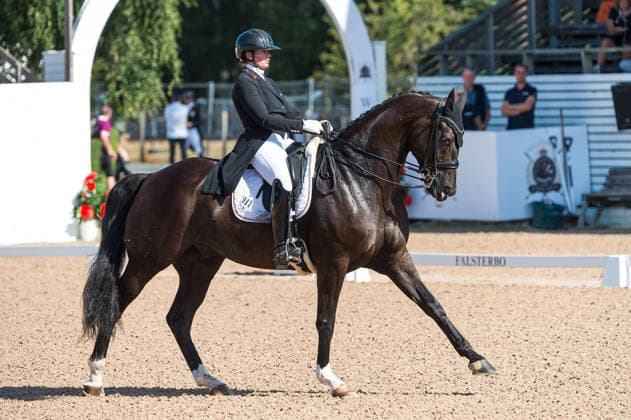 Pferdesport, Falsterbo Horse Show, Dressur