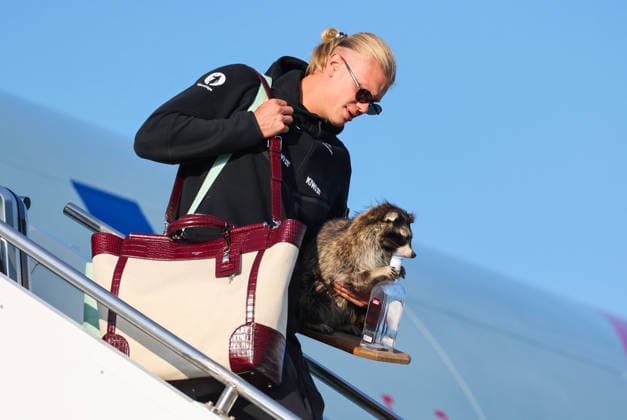 Sport Bilder des Tages