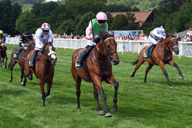 Pferdesport, Galopp, Renntag in Bad Harzburg
