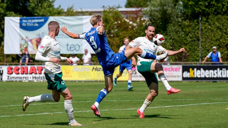 Fußball, Testspiel, TSG 1899 Hoffenheim - SpVgg Greuther Fürth