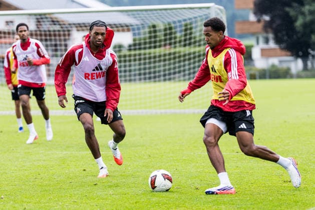 Fußball, 1. BL, 1. FC Köln, Training
