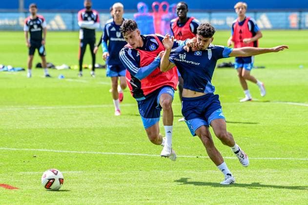 Fußball, 1. BL, Hamburger SV, Training