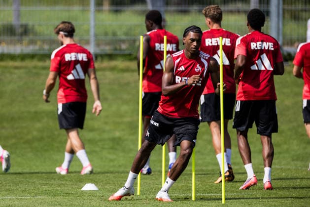 Fußball, 1. BL, 1. FC Köln, Training