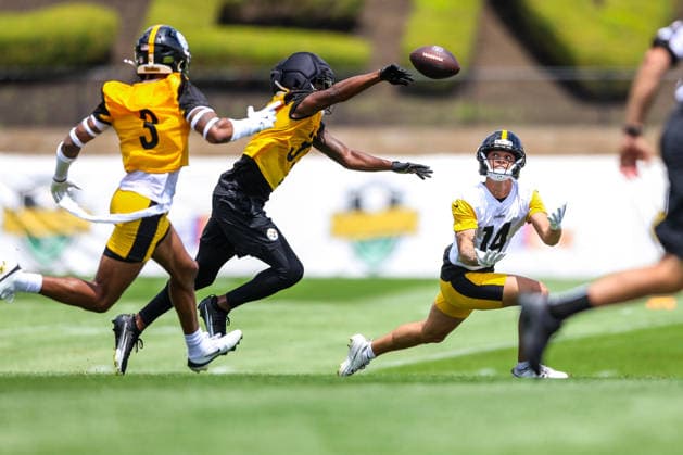 American Football, NFL, Pittsburgh Steelers, Trainingslager