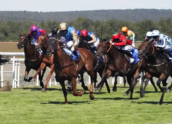 Reitsport, Galopp, Qatar Goodwood Festival