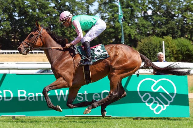 Pferdesport, Galopp, Renntag in Köln-Weidenpesch