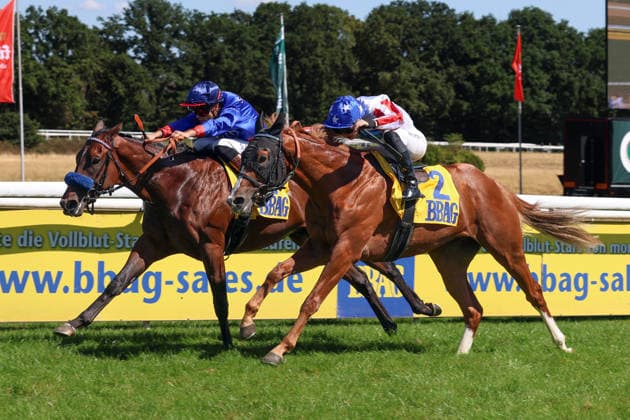Pferdesport, Galopp, BBAG Auktionsrennen in Köln-Weidenpesch