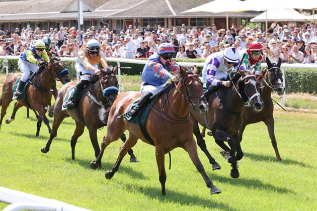 Pferdesport, Galopp Renntag in Dresden-Seidnitz