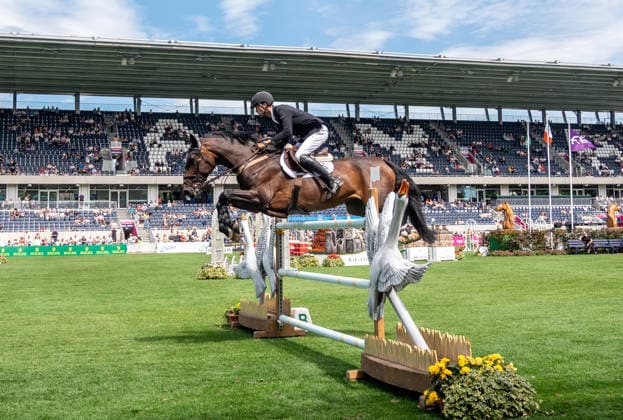 Pferdesport, Dublin Horse Show, Springreiten