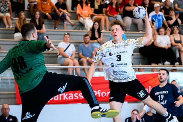 Handball, Sparkassen-Cup, TSV Altensteig - HC Elbflorenz Dresden