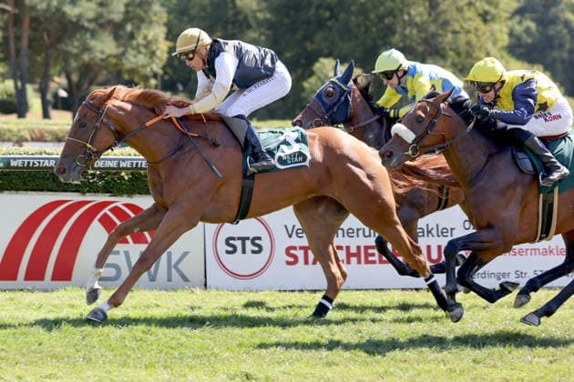 Pferdesport, Galopp, Renntag in Krefeld