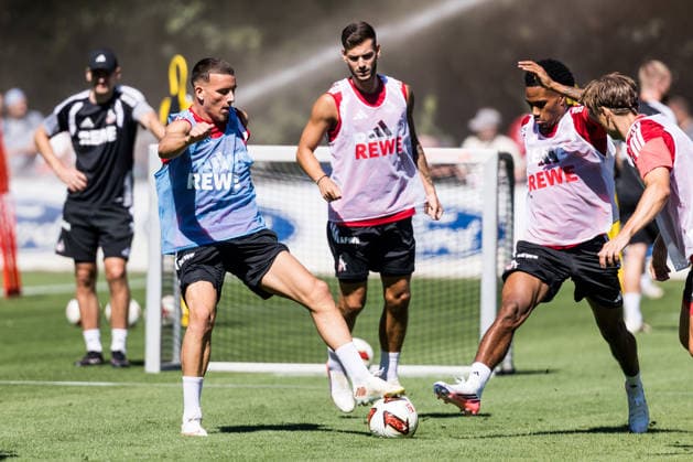 Fußball, 1. BL, 1. FC Köln, Training