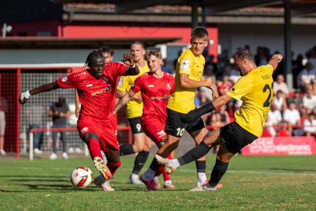 Fußball, Landespokal Württemberg, SSV Schwäbisch Hall - SG Sonnenhof Großaspach
