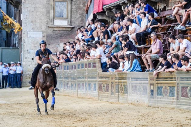 Pferdesport, Traditionelles Pferderennen Palio di Siena