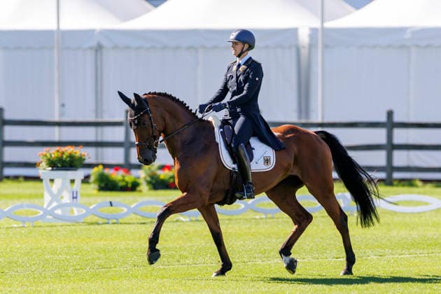 Pferdesport, WM in Aachen, Dressur